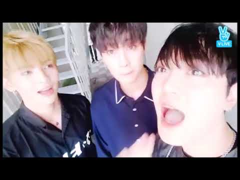 [업텐션] 쿤 고결 비토 자장가 노래