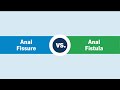 Anal Fissure Vs Fistula