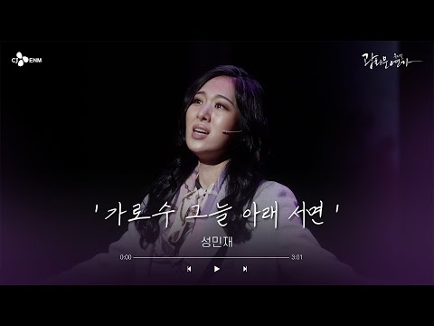가로수 그늘 아래 서면