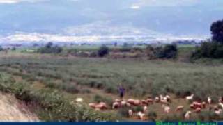 Psalm 23 - Juanita Bynum - The Lord Is My Shepherd