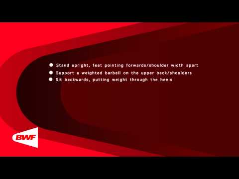 CE2M8V34 Free Weights   Squats