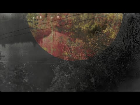 Paul Haslinger - Marienbad (Official Video)