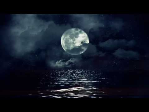 Video thumbnail for Nous Avons Encore Le Choix