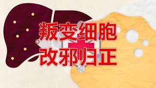 纳米粒子或将终结酒精肝炎Nanoparticlesshowpotentialforhalting inflammationandscarringinalcoholrelatedliverdisease