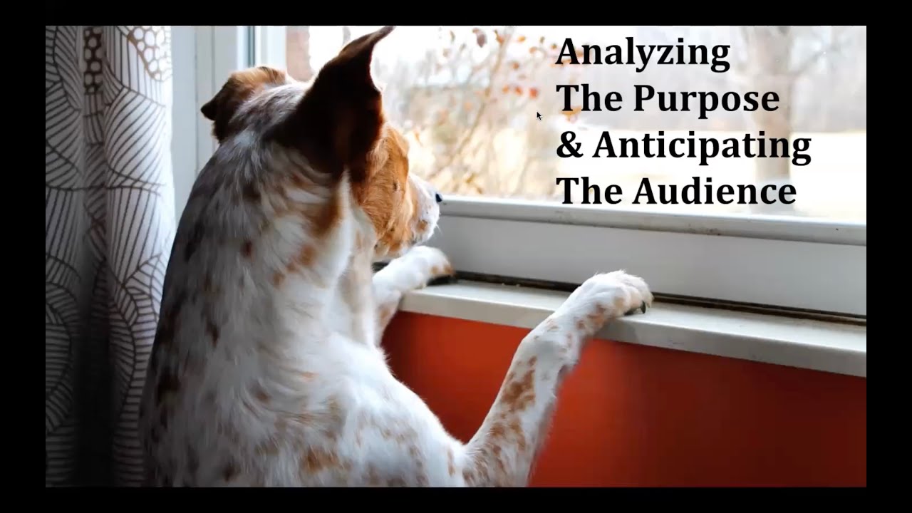 Analyzing the Purpose and Anticipating the Audience