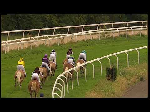 Herbstgalopprennen Oktoberfest: 2a corsa Haflinger/Haflinger Rennen 09.10.2022
