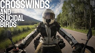 Those Birds Have a Death Wish – Days 2 & 3 Across America on my Moto Guzzi V85TT