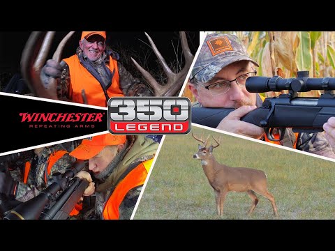 Why We Like to Shoot the Winchester 350 Legend!