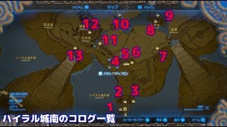【ゼルダの伝説】ハイラル城(南) コログの場所