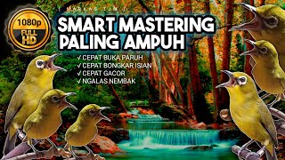 Download lagu 🔴 LIVE Smart Mastering Terapi Pleci Paling Ampuh Sedunia mp3