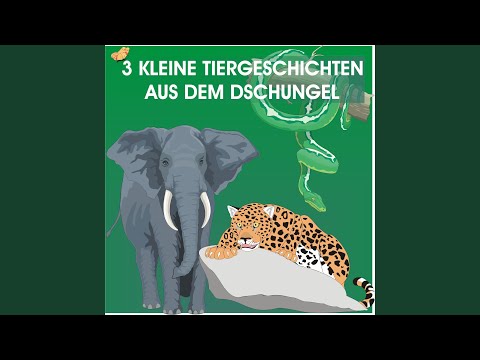 Fred Das Faultier (Eine Kleine Tiergeschichte)