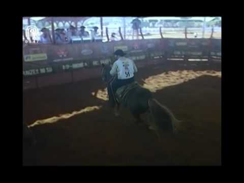 Aberta Brasília – 2° lugar machos – Laa Cianureto