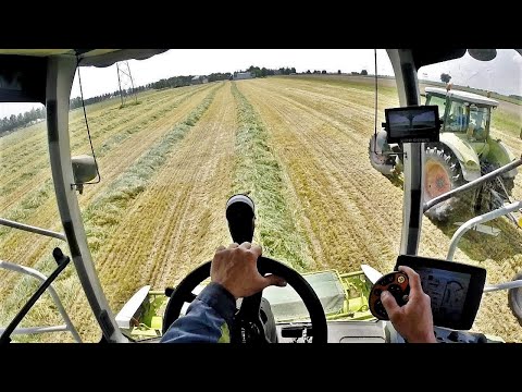 Candeggiare una faccia da posti di pigmentary Pigmentary scuro si macchia su graffio della pelle