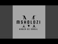 Msholozi