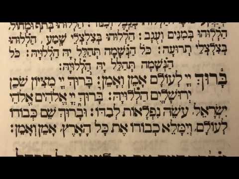 Tefilah 14 Baruch Hashem Le'olam - Prayer - Sharchris - תפילה 14 ברוך ה׳ לעולם – שחרית
