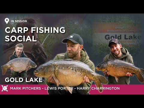 CC Moore Carp Fishing | Gold Lake Social | Mark Pitchers | Harry Charrington | Lewis Porter