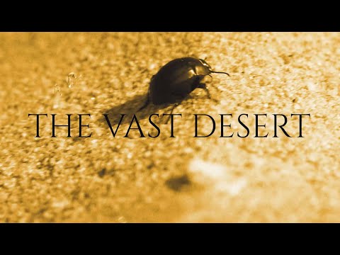 Dr. Peacock & Hyrule War - The Vast Desert