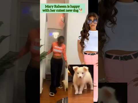 Mary Raheem is so happy with her cutest baby dog. #maryraheemtv