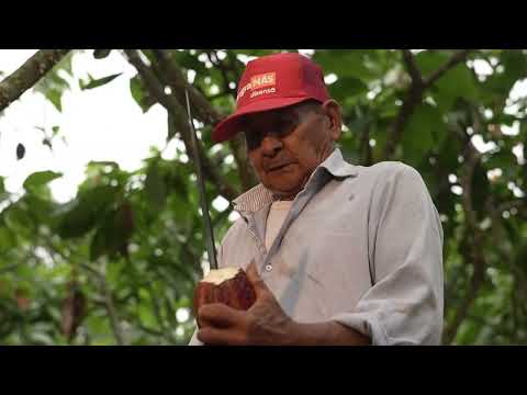 Cantón Simón Bolívar – Provincia del Guayas 🔰