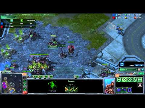 40. Dimaga (Z) vs Tarson (T) - game 1