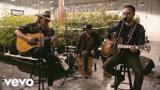 Download lagu Brothers Osborne - Weed, Whiskey And Willie (Terrapin Care Station Sessions) mp3 Download lagu Brothers Osborne - Weed, Whiskey And Willie (Terrapin Care Station Sessions) mp3