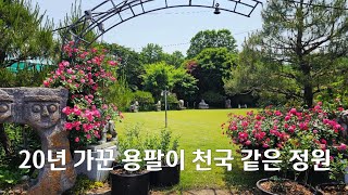 20년을 손수 가꾼 용팔이의 천국 같은 정원