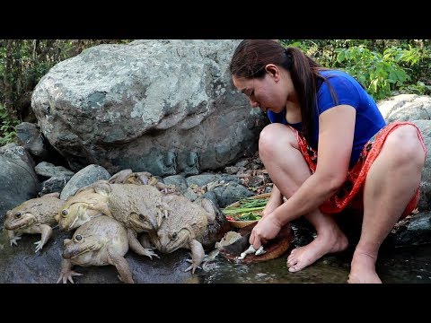 Catch & Cook frog for food– Cooking frog soup recipe  test delicious -My food Daily II