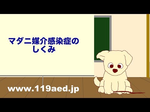 ダニ媒介疾患 - 定義