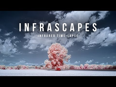 Gorgeous Landscapes Captured in Infrared