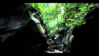 MainGuanapotoCaigual