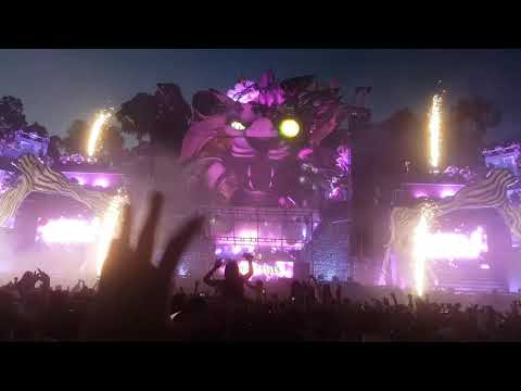 KNOCKOUT MELBOURNE 2019