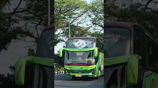 Download lagu Klakson Khas Bus Jawa Timur Restu Panda #shorts #patas #atb #restupanda mp3