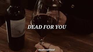 dead for you ✧ najwajean ; sub español