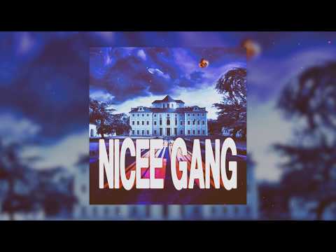 Parchants Diary - NICEE GANG