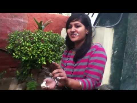 Varsha's Birthday :p