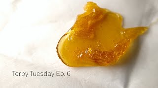Terpy Tuesday Ep.6: Platinum OG Shatter by The Cannabis Connoisseur Connection 420