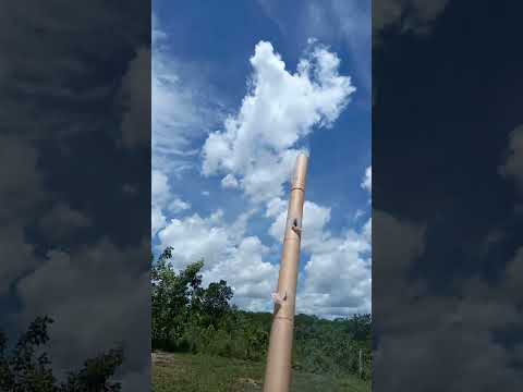 Foguete 19x4 | Fogos Pirocolor