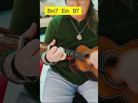A Luz Do Axé - Luiz Carlos da Vila