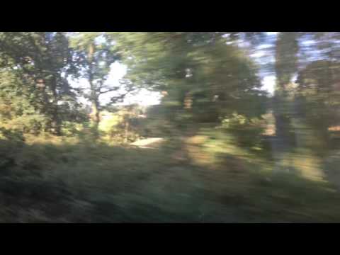 S9 Von Haltern am See HD