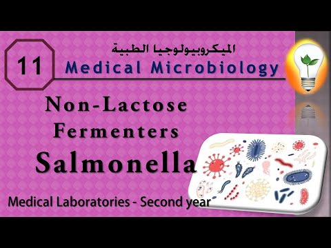 Medical Microbiology 0 introduction نظرة عامة ومقدمة لعلم الميكروبيولوجي
