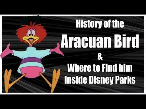 History of the Aracuan Bird and Where to Find Him at Disney