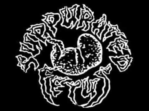 Suppurated Fetus - Lord Of Wrong