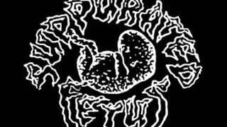 Music video thumbnail preview for Suppurated Fetus - Lord Of Wrong by Goatpenis