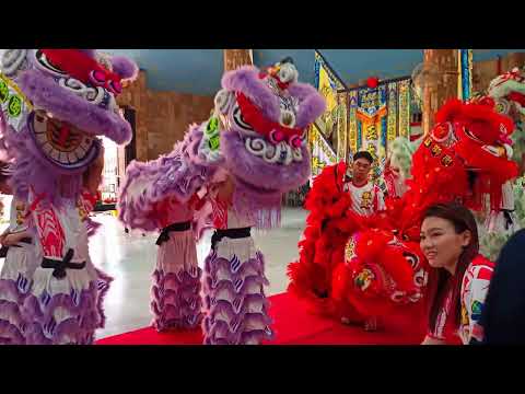 A spectacular performance featuring six Lion Dance troupes