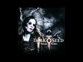 Darkseed - King In the Sun 