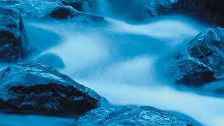 The Only Thing I Need