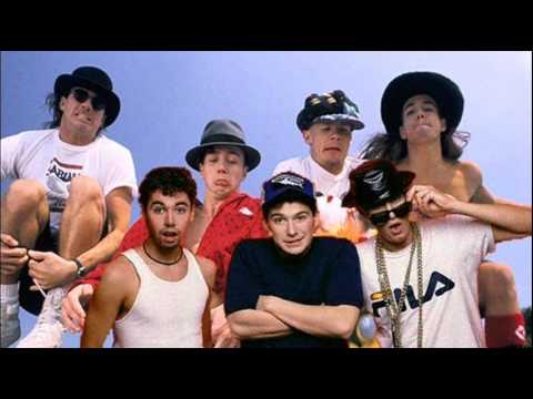 RHCP vs. Beastie Boys - Intergalactic Dani California