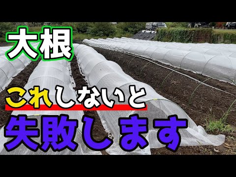 園芸 家庭菜園に関するよくある質問