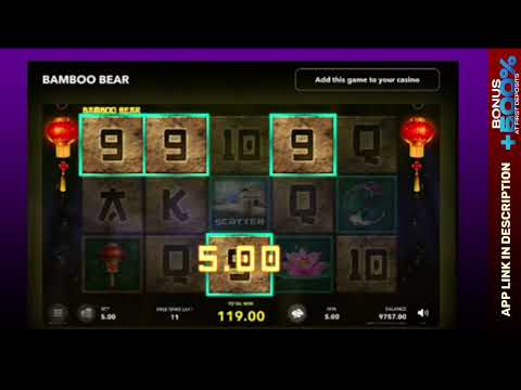 Unleash the Wild Wins with Bamboo Bear: Epic Slot Adventure Awaits!