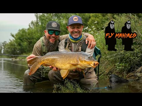Sight Fishing For River Carp in Italy l Flymaniacs with Niklaus Bauer & Paolo Pacchiarini